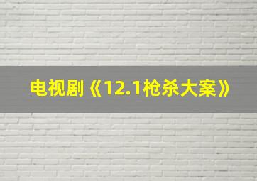 电视剧《12.1枪杀大案》