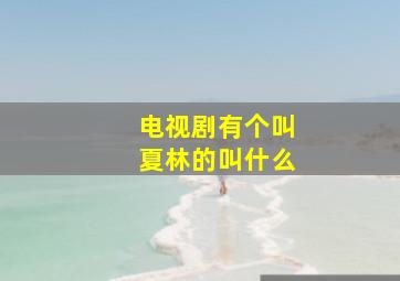 电视剧有个叫夏林的叫什么