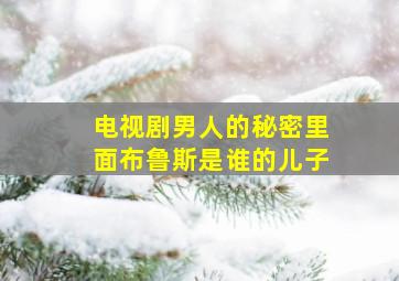 电视剧男人的秘密里面布鲁斯是谁的儿子