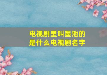 电视剧里叫墨池的是什么电视剧名字