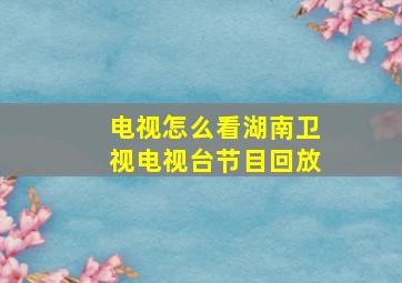 电视怎么看湖南卫视电视台节目回放