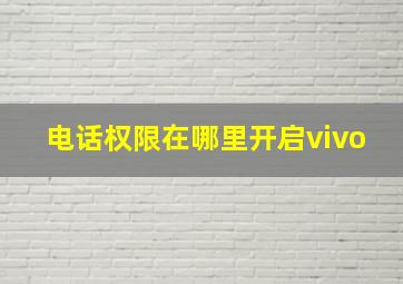 电话权限在哪里开启vivo