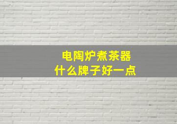 电陶炉煮茶器什么牌子好一点