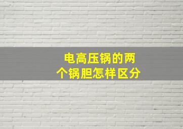 电高压锅的两个锅胆怎样区分