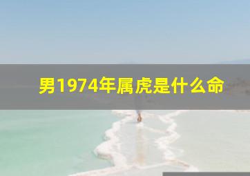 男1974年属虎是什么命