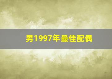 男1997年最佳配偶