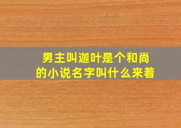 男主叫迦叶是个和尚的小说名字叫什么来着