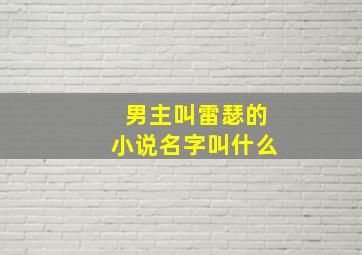 男主叫雷瑟的小说名字叫什么