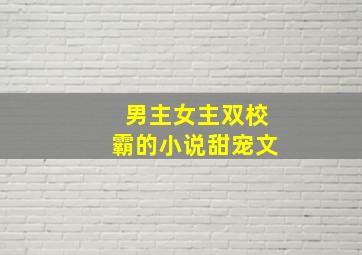 男主女主双校霸的小说甜宠文