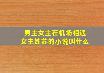 男主女主在机场相遇女主姓苏的小说叫什么