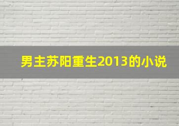 男主苏阳重生2013的小说