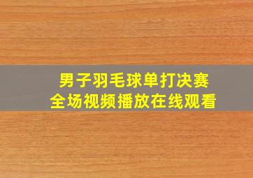 男子羽毛球单打决赛全场视频播放在线观看