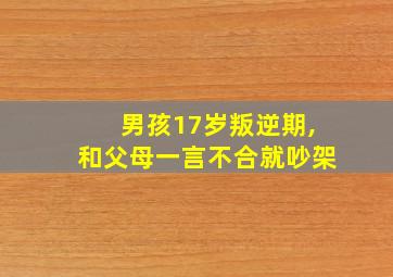 男孩17岁叛逆期,和父母一言不合就吵架