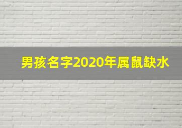 男孩名字2020年属鼠缺水