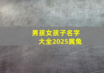 男孩女孩子名字大全2025属兔