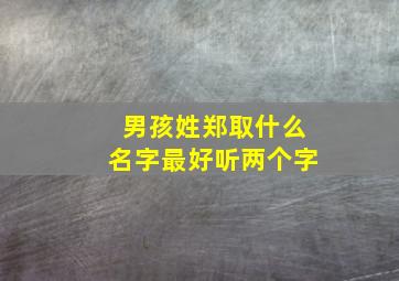 男孩姓郑取什么名字最好听两个字