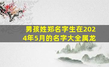 男孩姓郑名字生在2024年5月的名字大全属龙