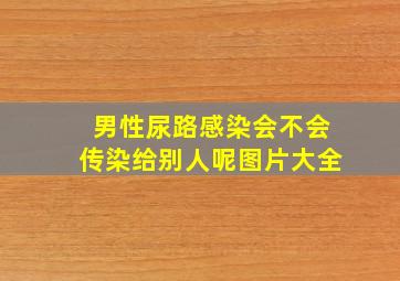 男性尿路感染会不会传染给别人呢图片大全