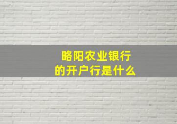 略阳农业银行的开户行是什么