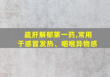 疏肝解郁第一药,常用于感冒发热、咽喉异物感