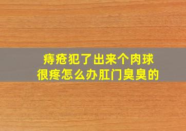 痔疮犯了出来个肉球很疼怎么办肛门臭臭的