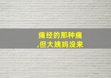 痛经的那种痛,但大姨妈没来