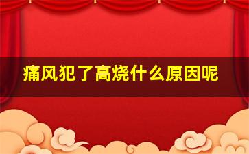 痛风犯了高烧什么原因呢