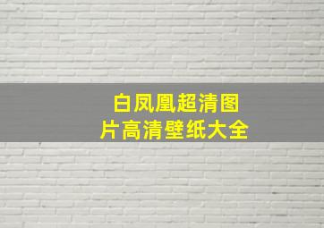 白凤凰超清图片高清壁纸大全