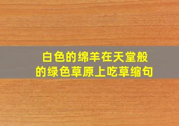 白色的绵羊在天堂般的绿色草原上吃草缩句