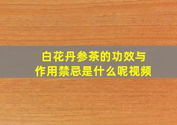 白花丹参茶的功效与作用禁忌是什么呢视频