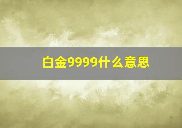 白金9999什么意思