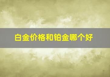 白金价格和铂金哪个好