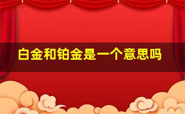 白金和铂金是一个意思吗