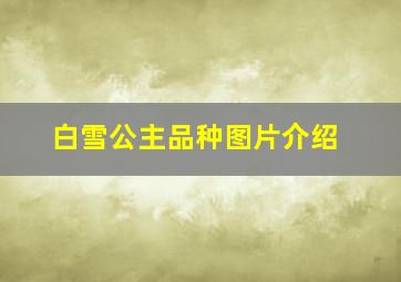 白雪公主品种图片介绍