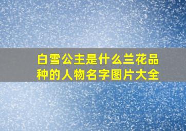 白雪公主是什么兰花品种的人物名字图片大全