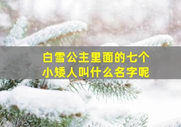 白雪公主里面的七个小矮人叫什么名字呢