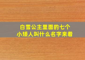 白雪公主里面的七个小矮人叫什么名字来着