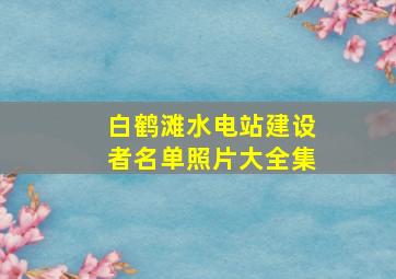 白鹤滩水电站建设者名单照片大全集