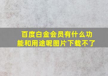 百度白金会员有什么功能和用途呢图片下载不了