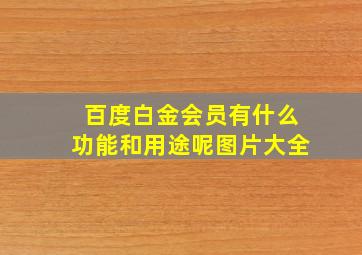 百度白金会员有什么功能和用途呢图片大全