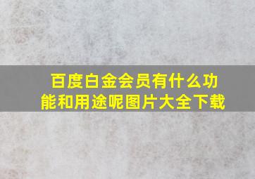 百度白金会员有什么功能和用途呢图片大全下载