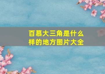 百慕大三角是什么样的地方图片大全