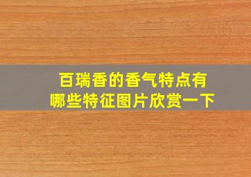 百瑞香的香气特点有哪些特征图片欣赏一下