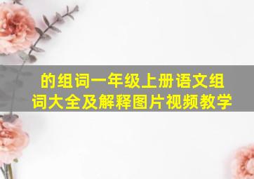 的组词一年级上册语文组词大全及解释图片视频教学