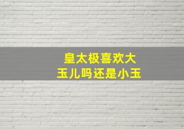 皇太极喜欢大玉儿吗还是小玉