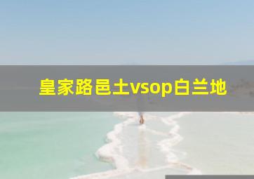 皇家路邑土vsop白兰地