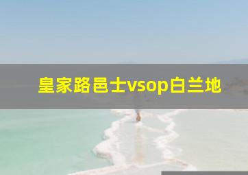 皇家路邑士vsop白兰地