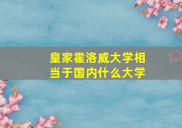 皇家霍洛威大学相当于国内什么大学