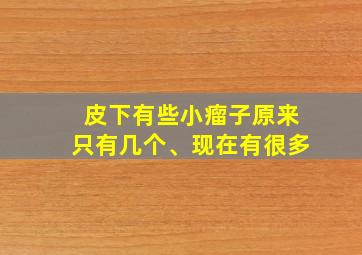 皮下有些小瘤子原来只有几个、现在有很多