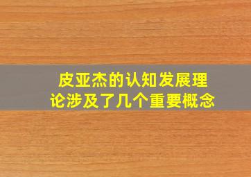 皮亚杰的认知发展理论涉及了几个重要概念